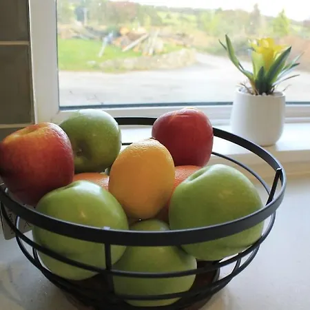 Cozy Country On Equestrian Estate Апартаменты Ashford