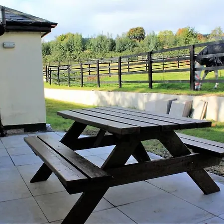 Cozy Country On Equestrian Estate * Ashford