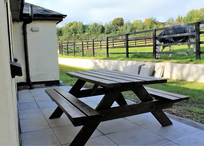 Cozy Country On Equestrian Estate * Ashford